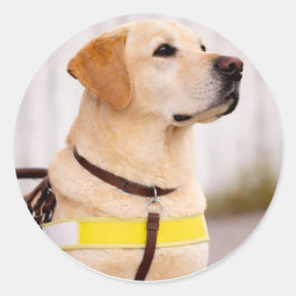 Gelber Labrador Guide Dog Abschlussumschlag Siegel Runder Aufkleber