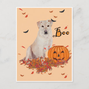 Gelber Labrador Retriever Boo! Postkarte