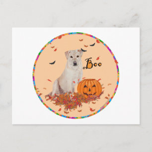 Gelber Labrador Retriever Halloween Postkarte