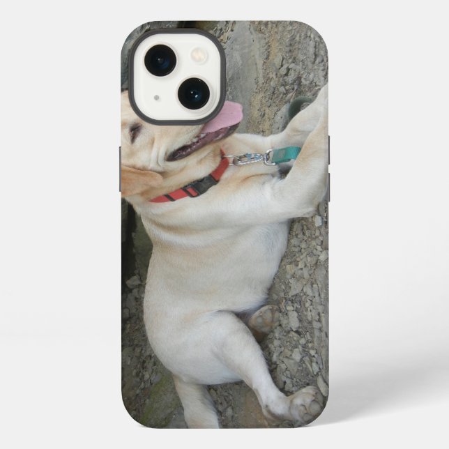 Gelber Labrador Retriever iPhone 8 Hülle (Rückseite)