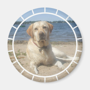 Gelber Labrador retriever-Magnet Magnet