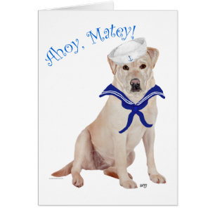 Gelber Labrador Retriever Matrose