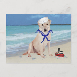 Gelber Labrador Retriever Matrose Postkarte
