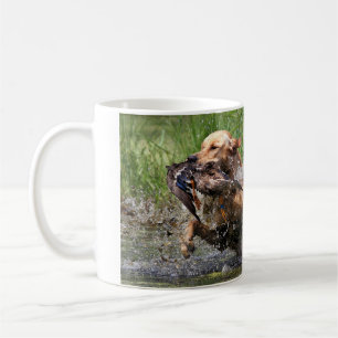 Gelber Labrador-Retriever mit der Enten-Tasse Kaffeetasse