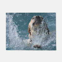 Gelber Labrador retriever-Spaß im Pool