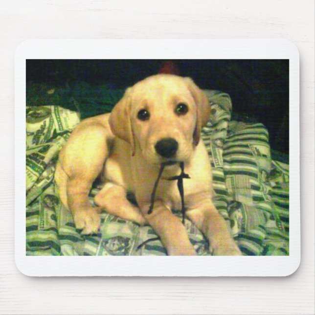 gelber labrador retriever-Welpe Mousepad (Vorne)