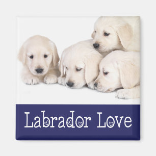 Gelber Labrador Retriever Welpen Magnet mit Liebe