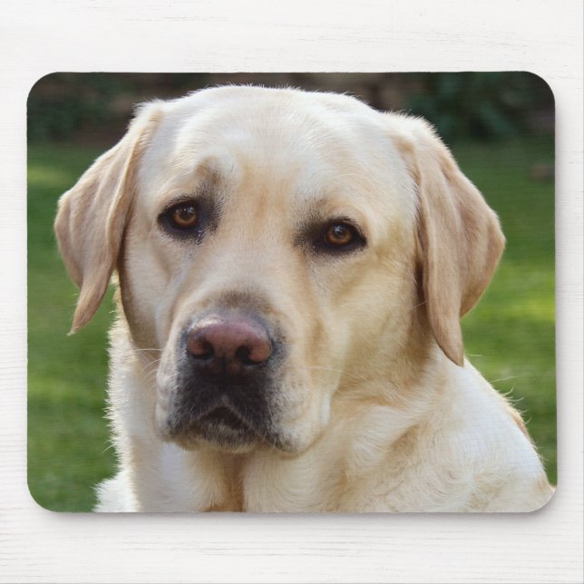 Gelber Labrador Rückkehrer Welpenhund - Gelbe Labr Mousepad (Vorne)