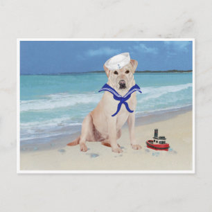 Gelber Labrador Segler Postkarte