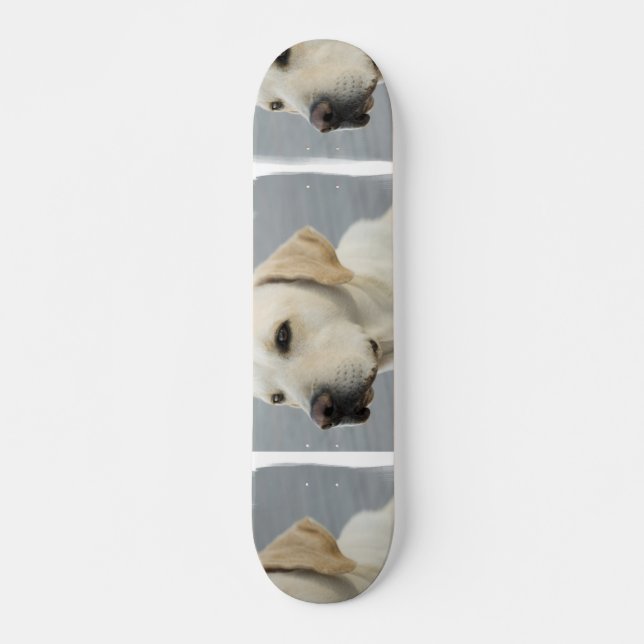 Gelber LabradorSkateboard Skateboard (Vorne)