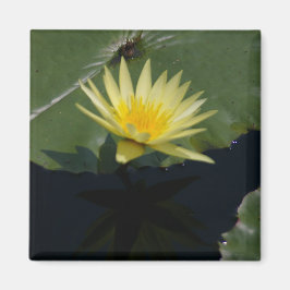 Gelber Lotus-Wasserlilie-Magnet Magnet