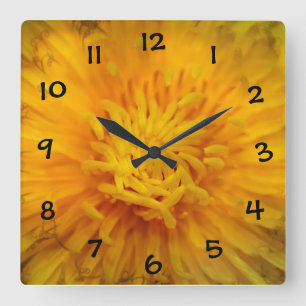 Gelber Löwenzahn Quadratische Wanduhr