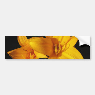 Gelber Orchid-Autoaufkleber Autoaufkleber
