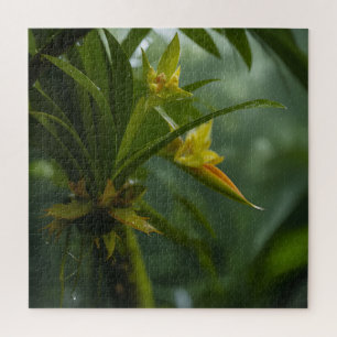 Gelber Orchideen-Regenwald