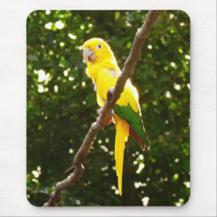 Gelber Papagei Mousepad