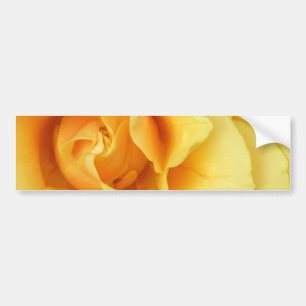 Gelber Rosen-Blüten-Autoaufkleber Autoaufkleber