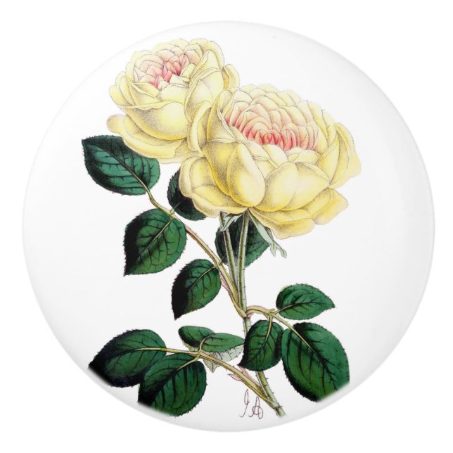 Gelber Rosen-Blüten-Keramik-Griff Keramikknauf (Vorderseite)