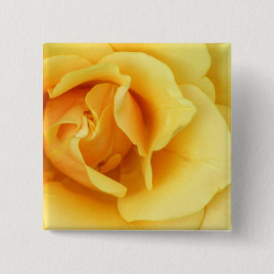 Gelber Rosen-Blüten-Quadrat-Knopf Button