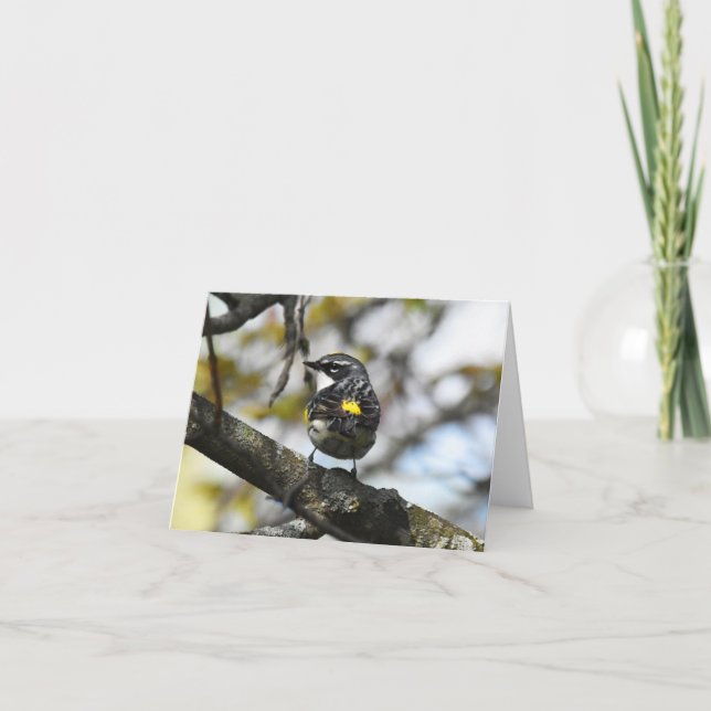 Gelber Rumped Warbler #3 - Blank Note Card Dankeskarte (Vorderseite)