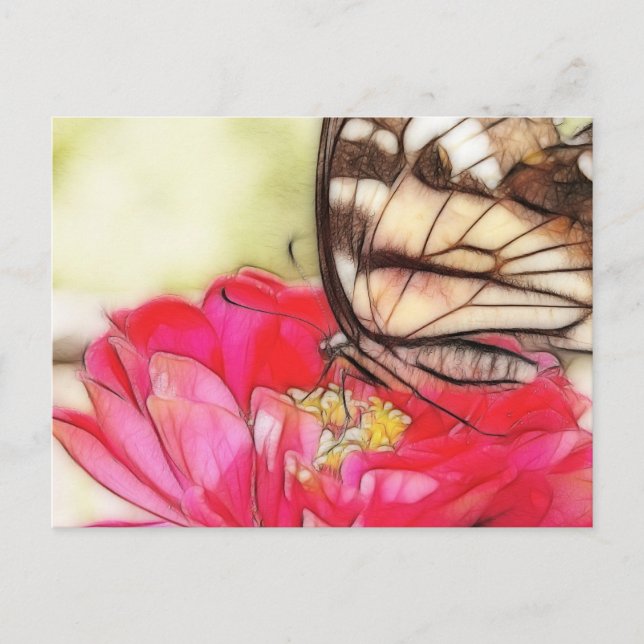 Gelber Schmetterling auf einem Zinnia-Frack Postkarte (Vorderseite)