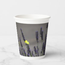 Gelber Schmetterling auf lila Lavendel Makrofoto
