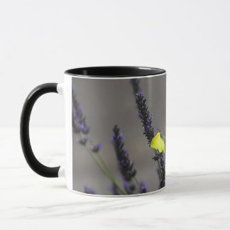 Gelber Schmetterling auf lila Lavendel Makrofoto Tasse