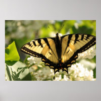 Gelber Schmetterling auf lila Print