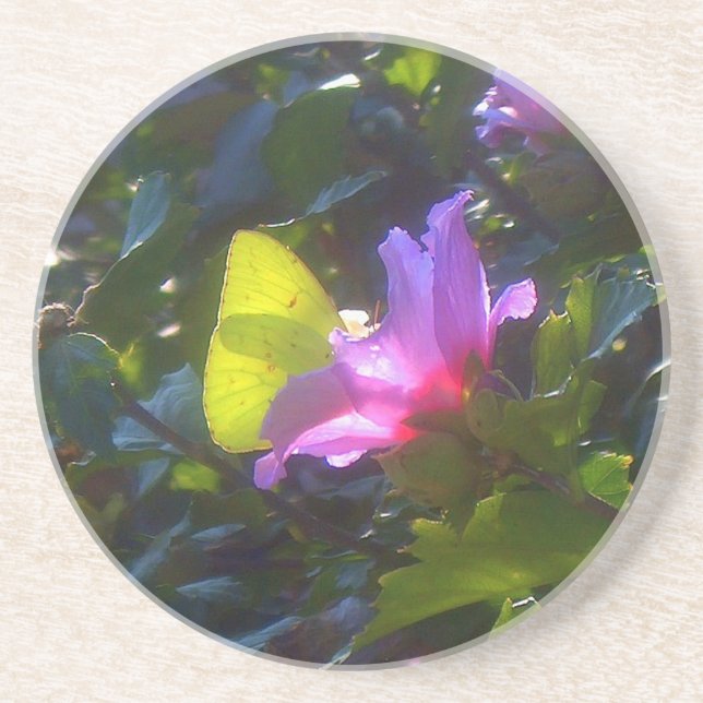 Gelber Schmetterling auf Rosa Rose von Sharon Unte Sandstein Untersetzer (Vorne)