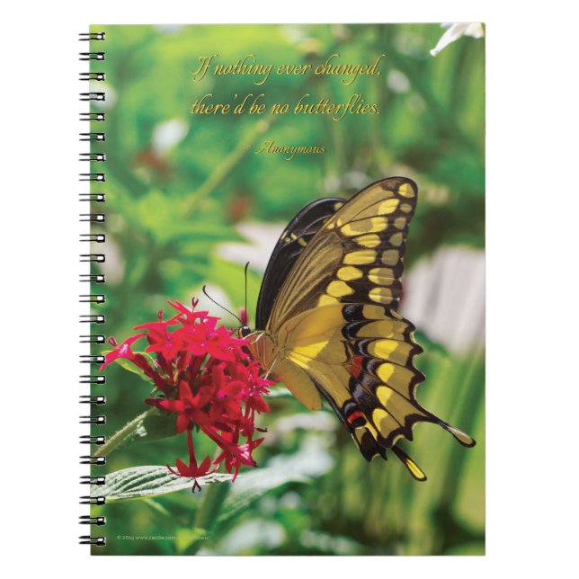 Gelber Schmetterling III - gewundenes Notizbuch Notizblock (Vorderseite)