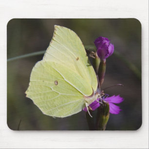 gelber Schmetterling Mousepad