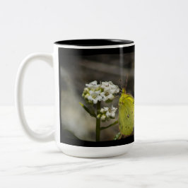 Gelber Schmetterling Zweifarbige Tasse