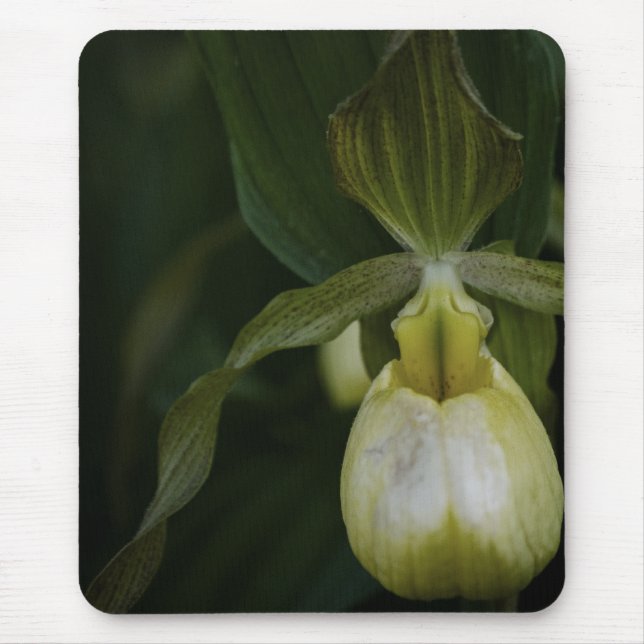 Gelber Slipper 2 Mousepad (Vorne)