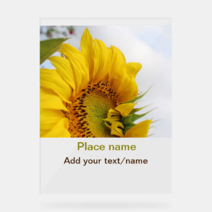Gelber Sonnenblumengarten mit Foto-Text-Bezeichnun Acrylschild