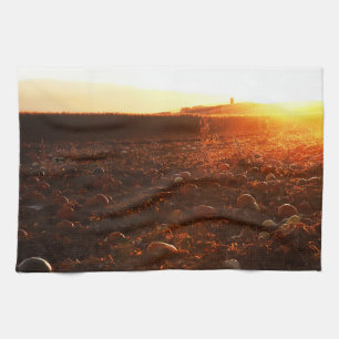 Gelber Sonnenuntergang Kürbisfeld Geschirrtuch