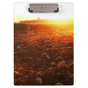 Gelber Sonnenuntergang-Kürbisfeld Klemmbrett