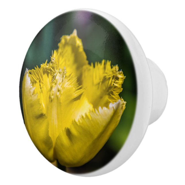 Gelber Tulip Keramikknauf (Rechts)