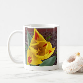 Gelber Tulpen-Kaffeebecher Kaffeetasse
