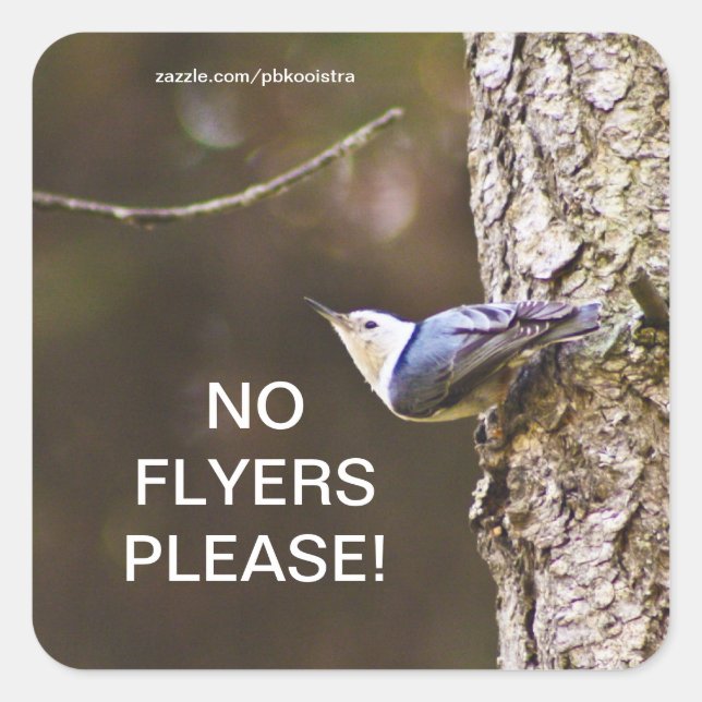 Gelber u. blauer Vogel keine Flyer gefallen Quadratischer Aufkleber (Vorderseite)