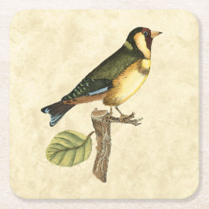 Gelber und grüner Vogel gehockt auf einer kleinen Rechteckiger Pappuntersetzer