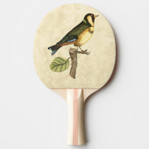 Gelber und grüner Vogel gehockt auf einer kleinen Tischtennis Schläger