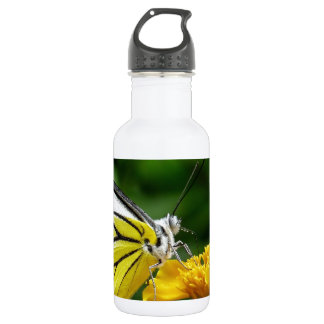 Gelber und roter Schmetterling auf gelber Blume Trinkflasche