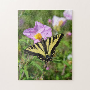 Gelber und schwarzer Schmetterling