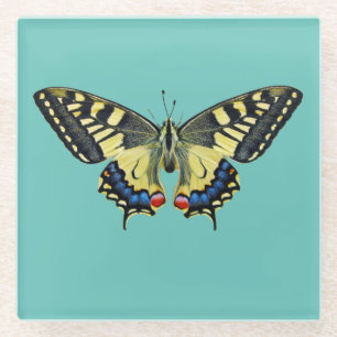 Gelber und schwarzer Schmetterling Glasuntersetzer