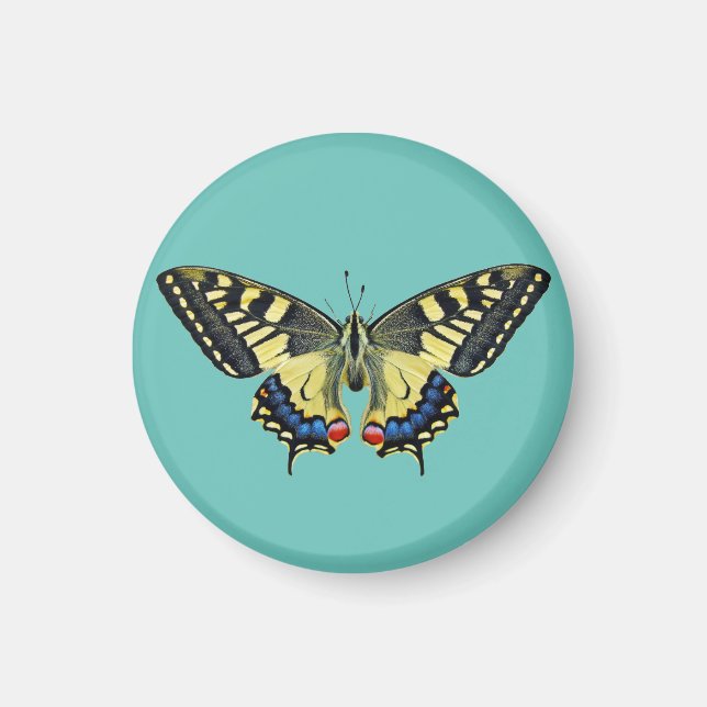 Gelber und schwarzer Schmetterling Magnet (Vorne)