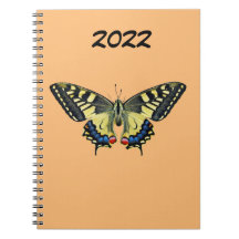 Gelber und schwarzer Schmetterling