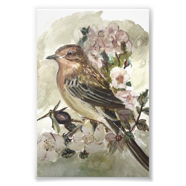 Gelber Wagen-Gartenvogel Aquarelldruck Fotodruck (Vorne)