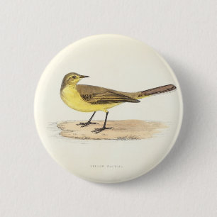 Gelber Wagtail-Knopf Button