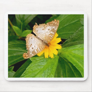 gelber weißer Schmetterling Nachtfalter Mousepad