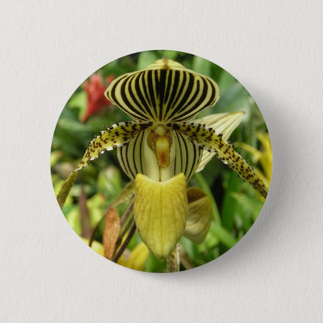 Gelber Zebra Stripes Orchidee Button (Vorderseite)