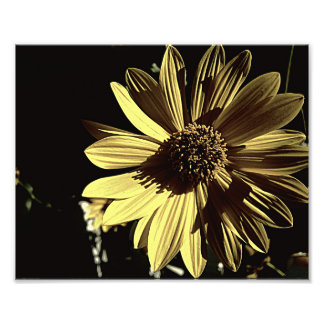 Gelbes 10x8-Foto drucken Fotodruck